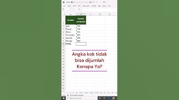 Cara Mengatasi Angka di Excel yang Tidak Bisa Dijumlah Rumus SUM
