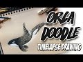 ORCA DOODLE | B&amp;W Series Timelapse Drawing
