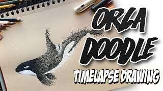 ORCA DOODLE | B&W Series Timelapse Drawing