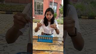 The Effect Of Saliva On Starch Science Experiments Cbse Class 7 Arisha Mam