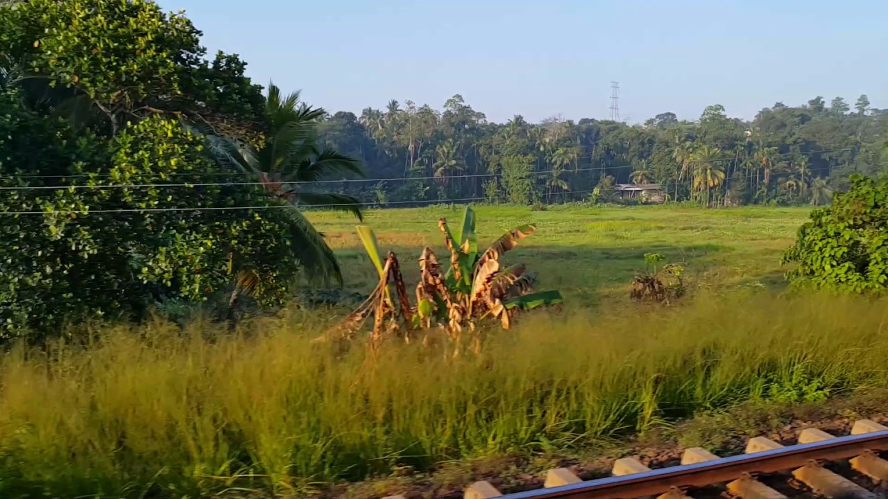 Colombo to Jaffna, Sri Lanka Yaal devi train to Jaffna from Mount