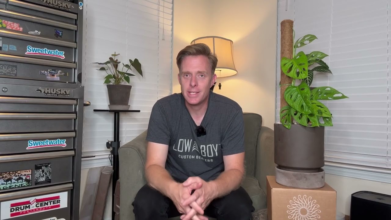 Swiss Cheese plant gets a new home