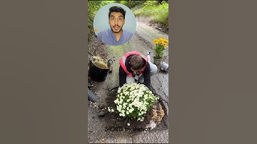 Best Pothole Repair Ever