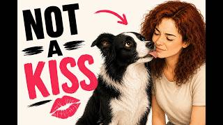 Why Your Dog KEEPS LICKING The Same Spot (Don't Ignore This)