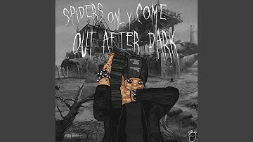 Spiders only come out after dark