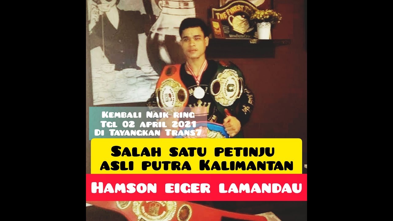 PROFIL PETINJU ASAL KALIMANTAN HAMSON EIGER LAMANDAU