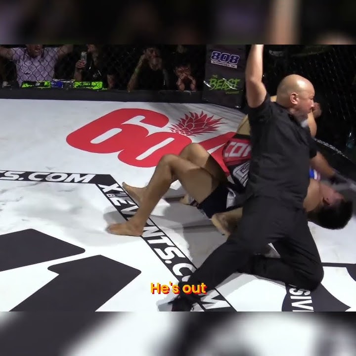 Amazing Fight: De Santos' Knockout Performance! #shorts