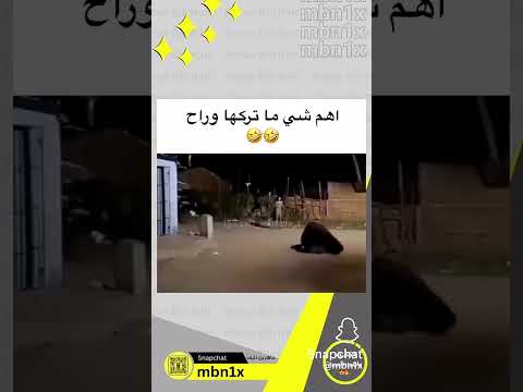 فيديو المهم انو طلع راجل 😱😱 #music #like #اكسبلور #ترند #cute #ضحك #cover #funny #دويتو