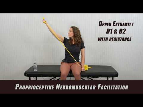 PNF with RESISTANCE for UPPER EXTREMITIES | Proprioceptive Neuromuscular Facilitation D1 and D2