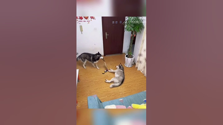 Як це мило🥰✨