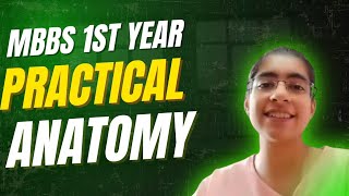 Anatomy Practical 1St Year Mbbs Complete Guide