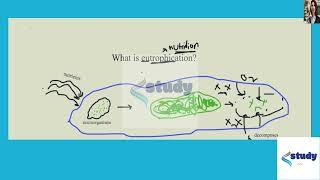 [Biology] What is produced by eutrophication via excess nitrogen where a hydrologic reservoir lacks