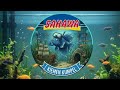 Technik und Einrichtung von meinem Aquarienregal