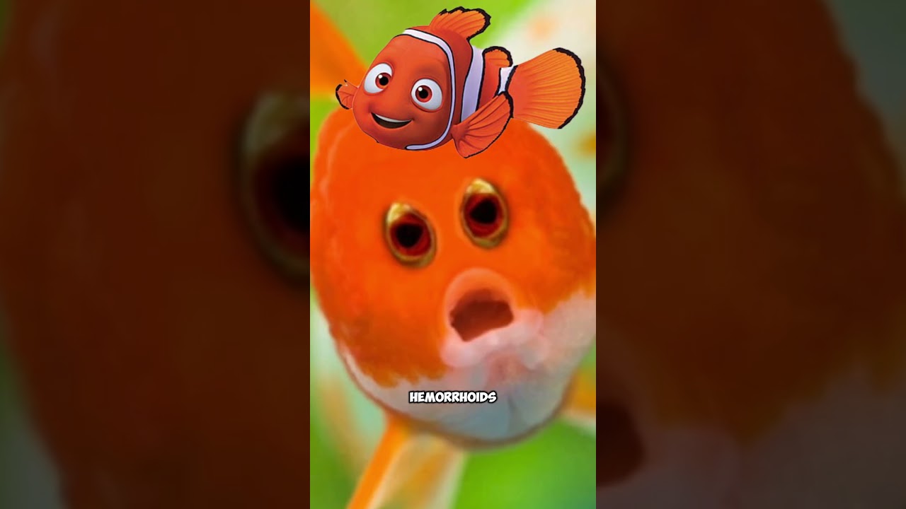 If animals had eyes in front 