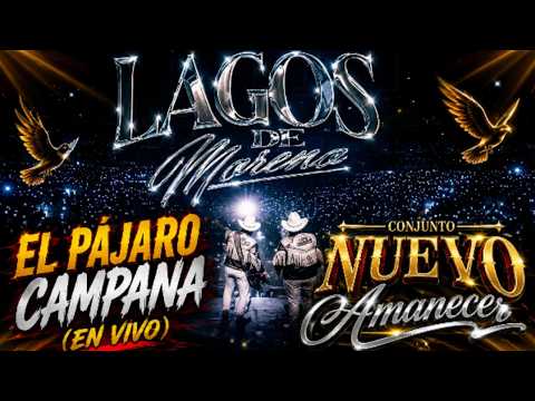 El Pajaro Campana | Conjunto Nuevo Amancer 2026 / Dj Roman-MIX