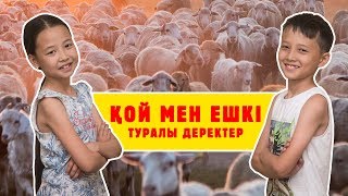 Қой мен ешкі туралы деректер / Үй жануарлары