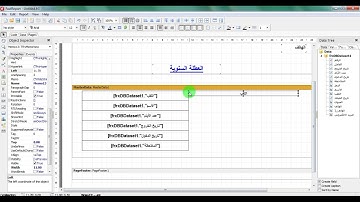 استعمال قاعدة بيانات أكسس في تطبيق دلفي _ الجزء الثالث _ طباعة الوثيقة