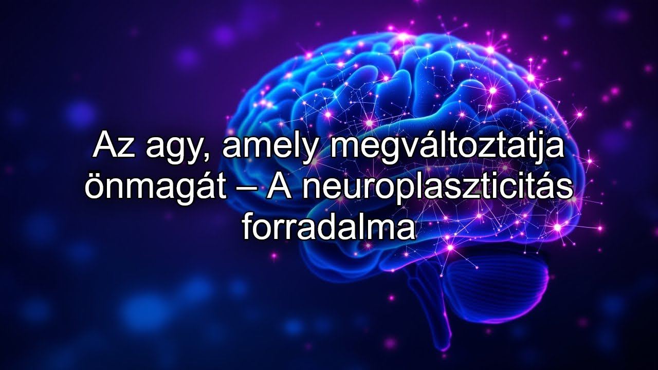 Az agy, amely megváltoztatja önmagát – A neuroplaszticitás forradalma