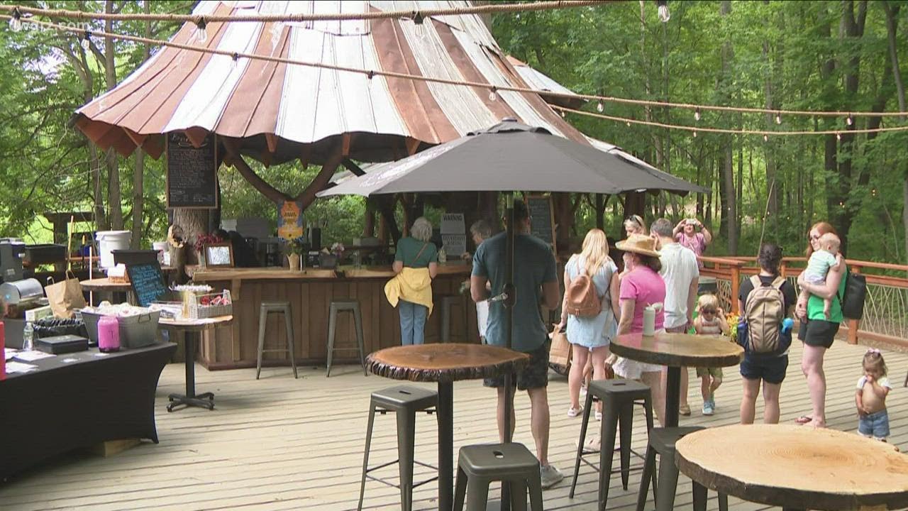 Most Buffalo 'Blueberry Treehouse Farm Cafe' YouTube