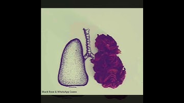 قَالَ رَبِّ اشْرَحْ لِي صَدْرِي....تلاوه جميل جداً تشرح الصدر♥