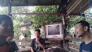 SAS SENI MUSIK ” LAGU MARS SMK CIBITUNG 1 “