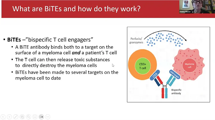 Seminar 7: Bispecific T-cell Engagers (BiTEs) in Myeloma