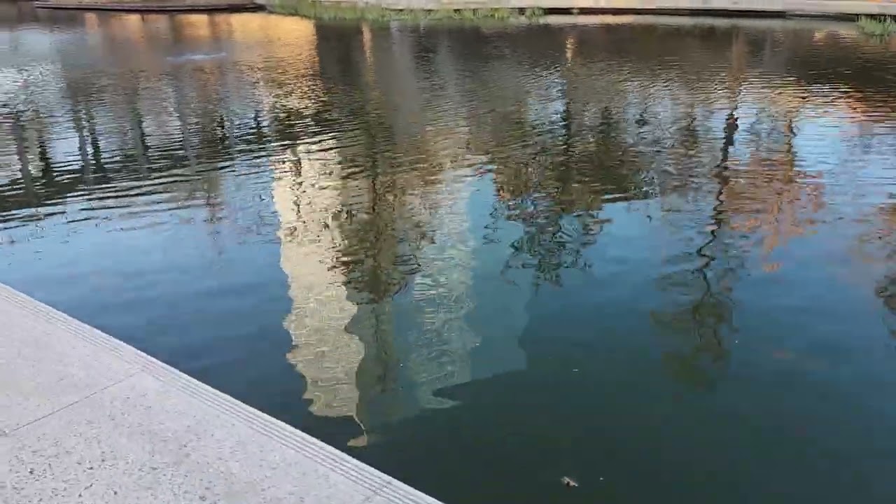 Around Most of the Pond