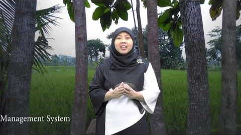 DBMS di Open Education MOOC Aptikom