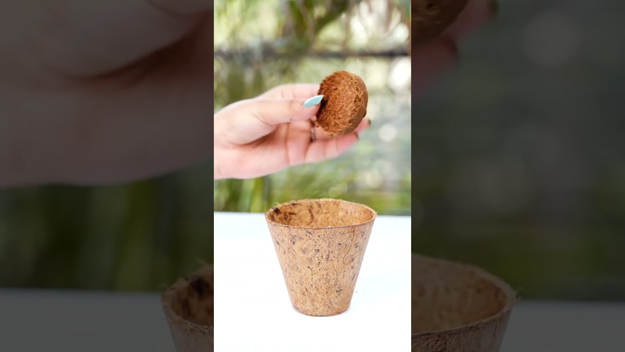 Our new favorite eco-friendly writing tool-plantable seed pencils 