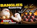 How to Pair Bengalese Finches for Fostering | How it works | Birds & Boxes with Biya