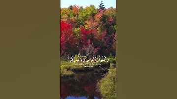 يا بني آدم خذوا زينتكم عند كل مسجد وكلوا واشربوا ولا تسرفوا | تلاوة الولي 😌🙏#قرآن #قرآن_كريم