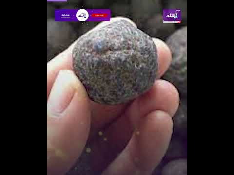 مأس اة في إمبابة بلط جي يش وه وجه أم بقالب ط وب