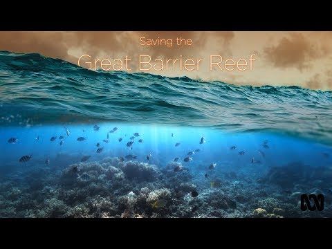 Video: 16 Skäl Till Muddring Vid Great Barrier Reef Kan 