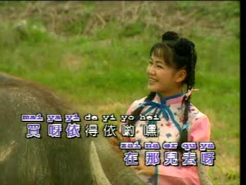 Xiao Fang Niu