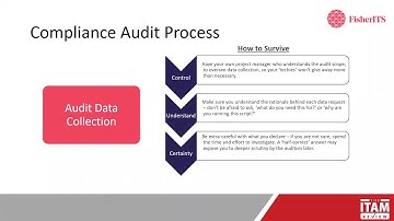 Controlling a Software Licence Audit