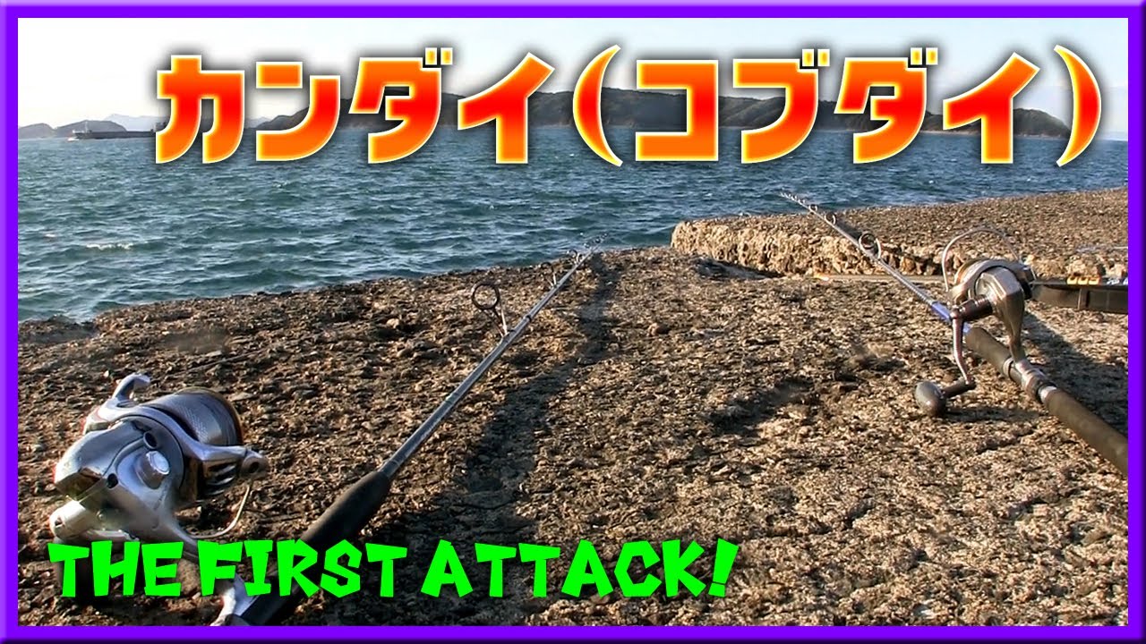2nd アタック カンダイ コブダイ ズボ釣り ぶっ込み仕掛け で狙う カンダイ コブダイ 加太 大波止 和歌山 釣り Youtube