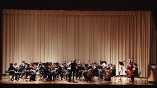 Carter Arts Lecture Series Ga Tech Symphony Orchestra Part 6