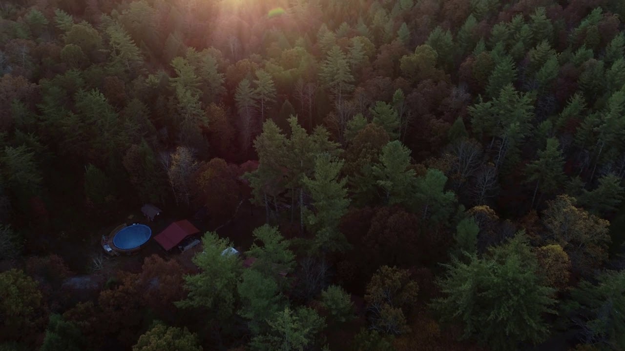 Land for Sale Harmony Hollow, Sunbright, TN YouTube