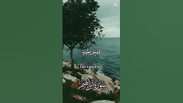 ألم تر كيف ضرب الله مثلاً كلمة طيبة كشجرة طيبة أصلها ثابت وفرعها في السماء إبراهيم ،٢٤ - ٢٥ #تلاوة