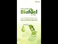 World Biofuel Day | Biofuel | Ethanol | Energy |