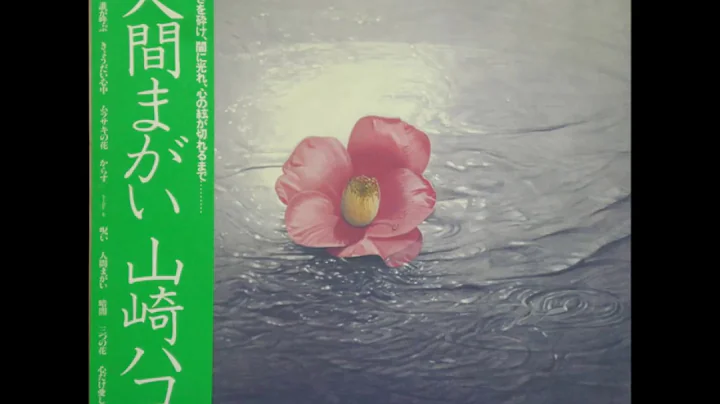 Hako Yamasaki - Human Nature/ -  (1979) (vinyl ver...