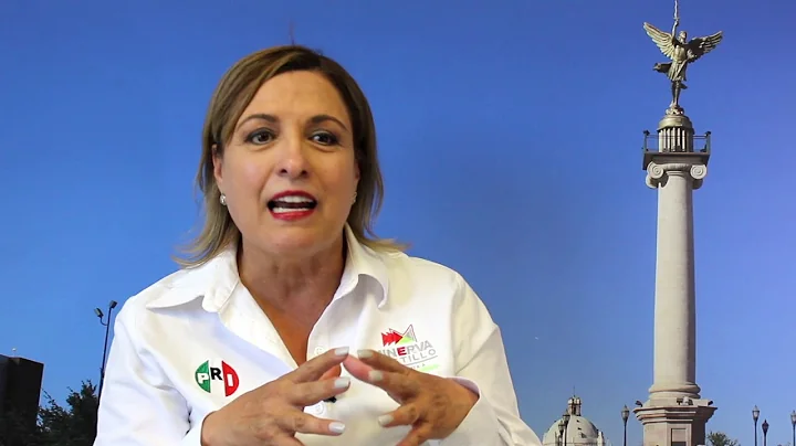 Entrevista a Minerva Castillo