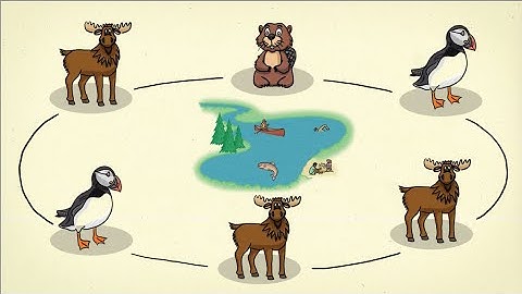 Proportional Representation 101