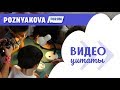 ПОДГОТОВКА ИССЛЕДОВАТЕЛЕЙ || ВИДЕОЦИТАТЫ || POZNYAKOVA FORUM