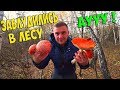 ПОХОД В ЛЕС ПО ГРИБЫ! ЗАБЛУДИЛИСЬ В ЛЕСУ! АУУУ / Виталий Зеленый