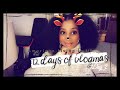 12 Days Of Vlogmas : Day 2: Uk Vlogs: American living in Wales