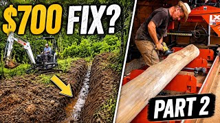 Can $700 Fix a Swampy Field?