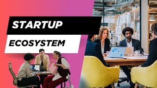 What is a Startup Ecosystem