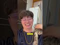 我家的百只寵物到底花了多少錢？滿足網友們的好奇心，開算！#shorts #pets #animals #寵物 #搞笑