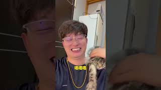 我家的百只寵物到底花了多少錢？滿足網友們的好奇心，開算！#shorts #pets #animals #寵物 #搞笑